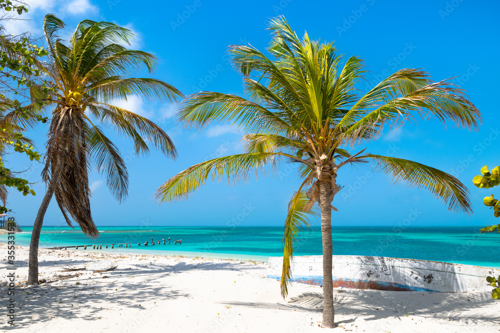 A beautiful day on the paradise beach in Dos Mosquises Island - Caribbean - Archipelago of Los Roques - Venezuela