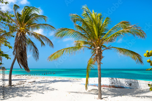Fototapeta Naklejka Na Ścianę i Meble -  A beautiful day on the paradise beach in Dos Mosquises Island - Caribbean - Archipelago of Los Roques - Venezuela