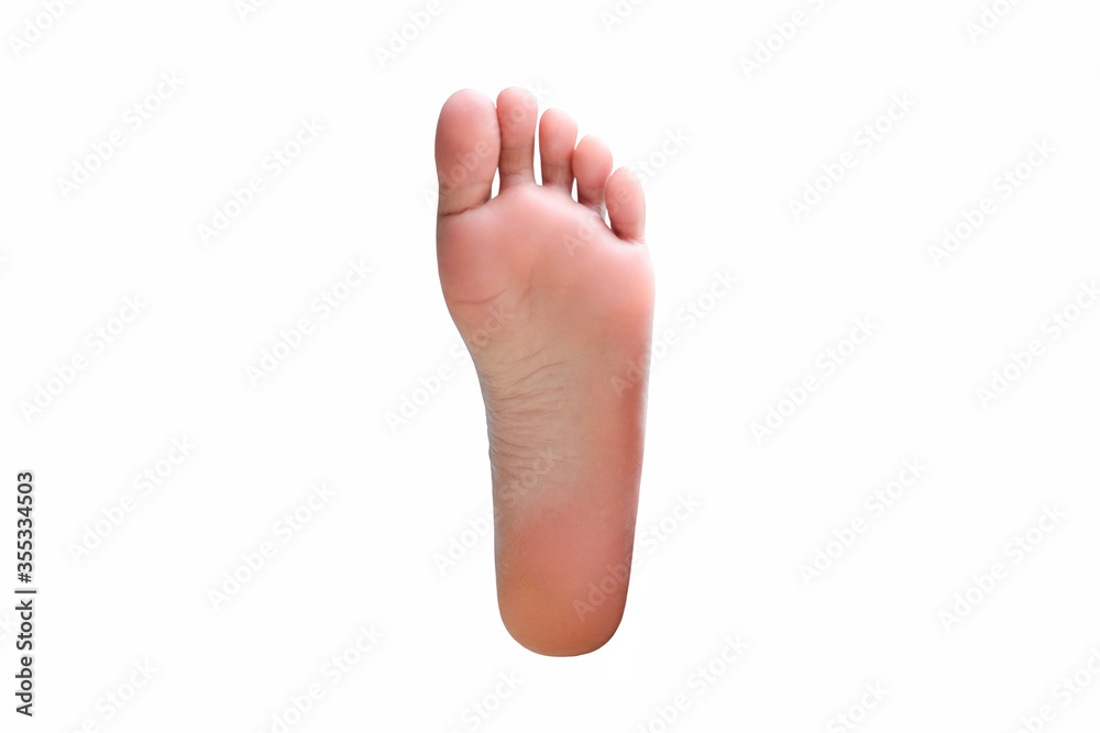 Beautiful female legs and feet on a white background. Beautiful female legs and feet on a white background.