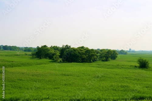 新緑 渡良瀬 河川敷 風景 栃木