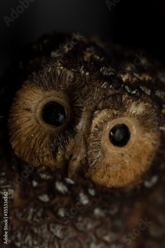 Owl toy close up © Jorge Jacome