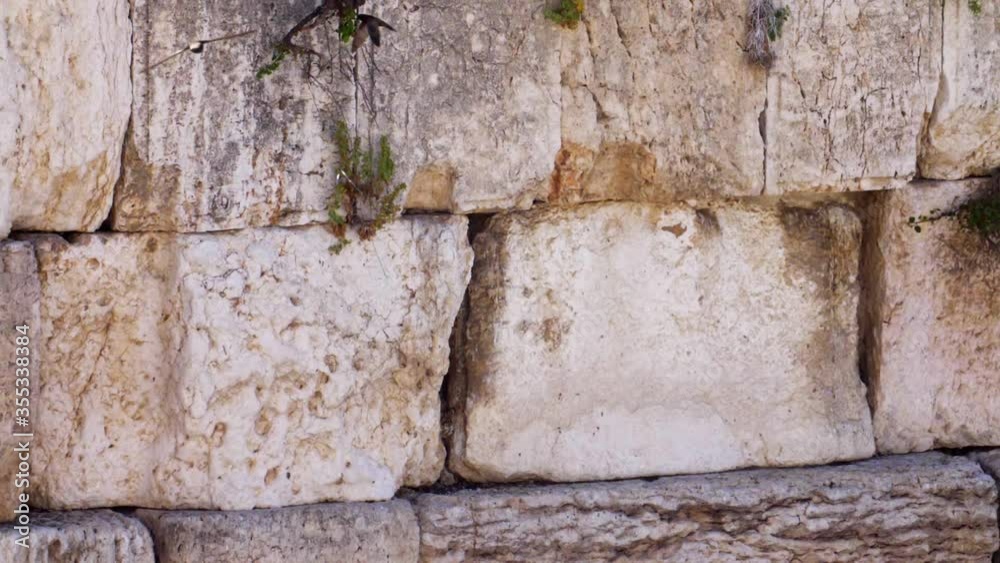 The wailing Wall (kotel,Western) With Swifts Birds Flying The wailing Wall (kotel,Western) With Swifts Birds Flying