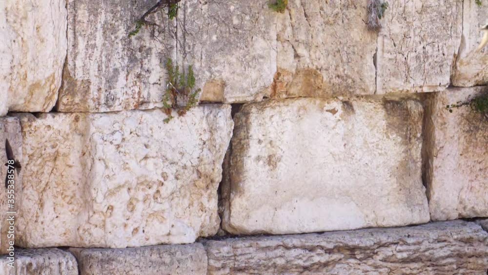 The wailing Wall (kotel,Western) With Swifts Birds Flying The wailing Wall (kotel,Western) With Swifts Birds Flying