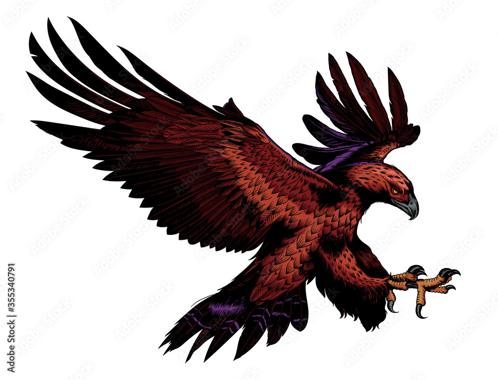 Obraz premium eagle flying