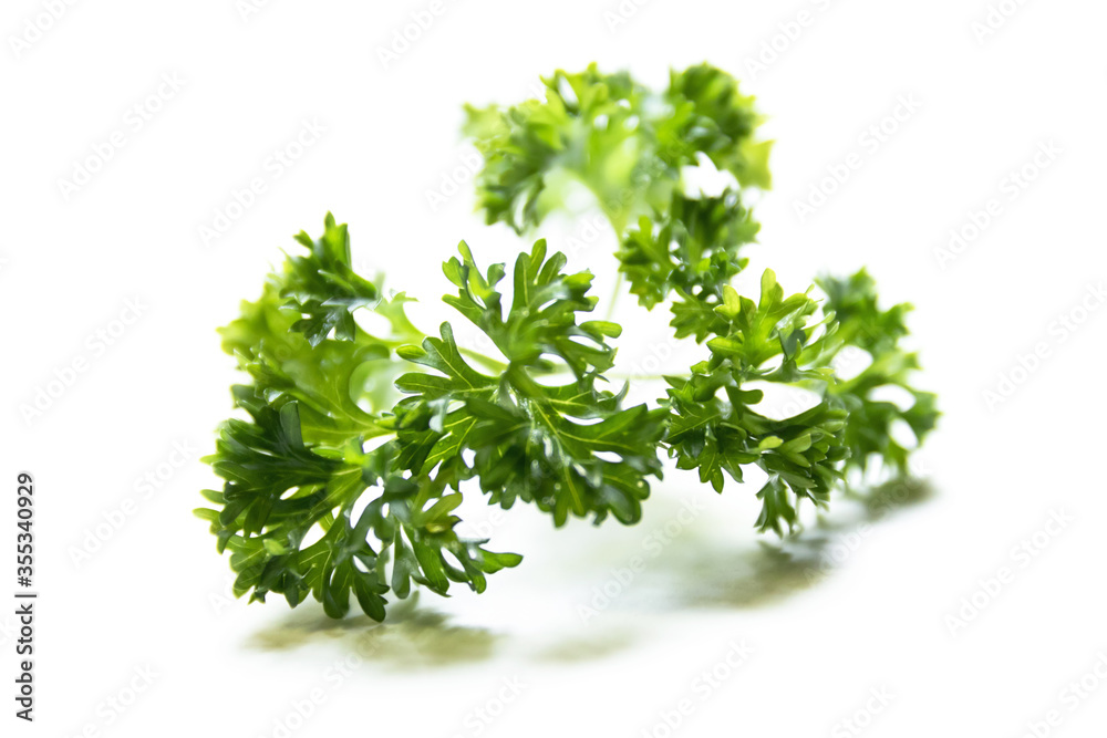 Parsley isolated on white background. Parsley isolated on white background.