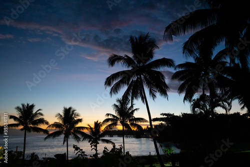 Sunset in Samoa with palm tree silhouettes lit up by the sky © Acres