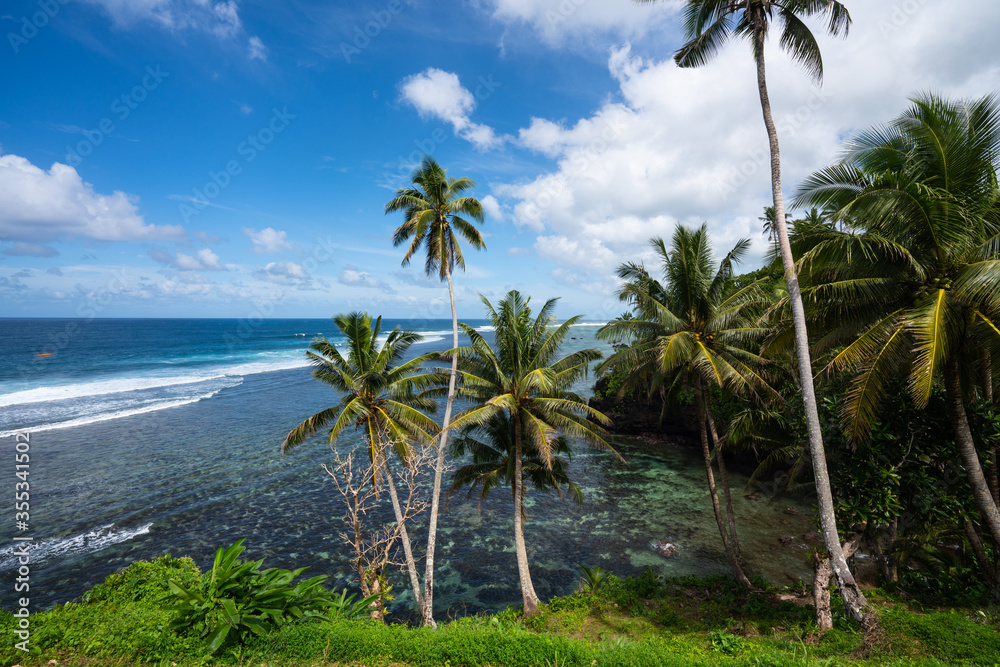 The wild rugged South Coastline of Upolu in Samoa with palm trees and cliffs above the reef