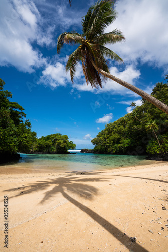 Fototapeta Naklejka Na Ścianę i Meble -  Palm trees  and blue sky on a tropical beach in Samoa