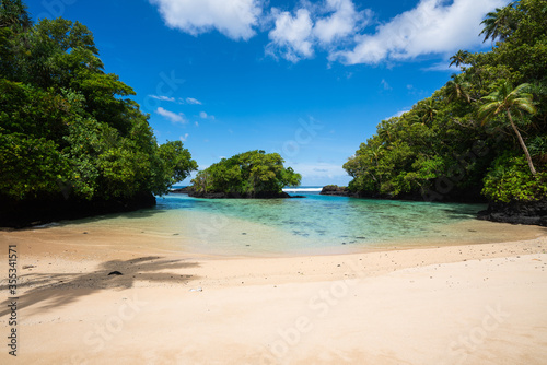Crystal clear water and palm tree on a beach in tropical Samoa © Acres