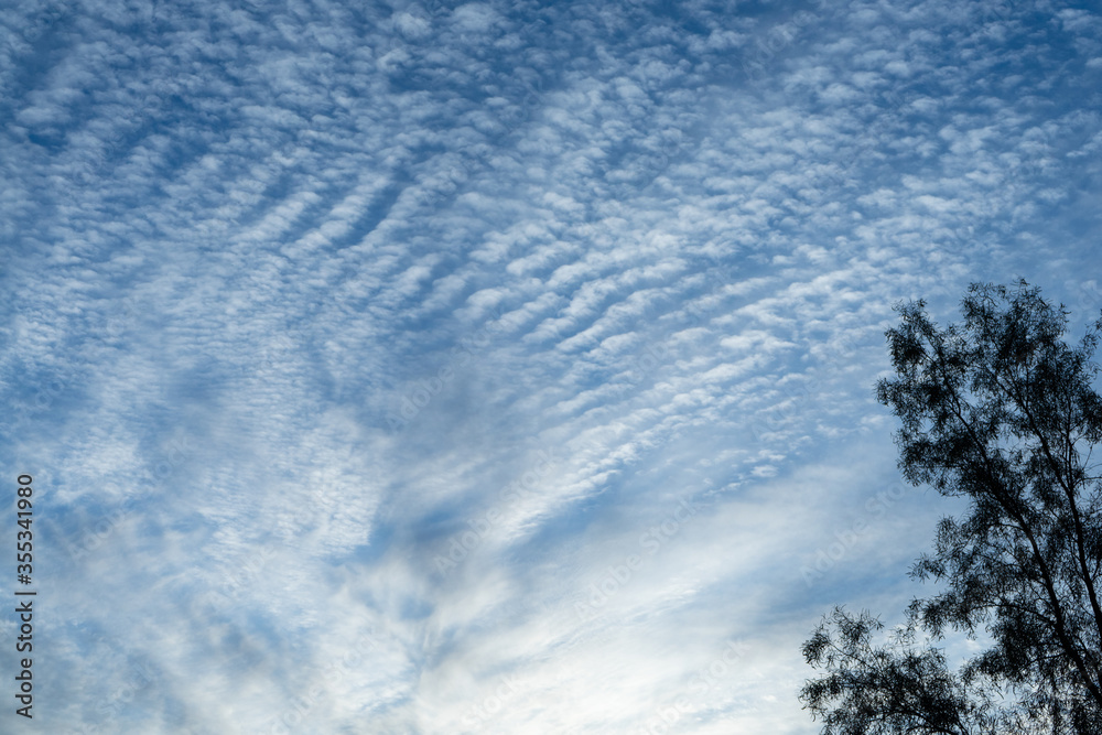 Obraz premium Cloudy morning sky in Arizona