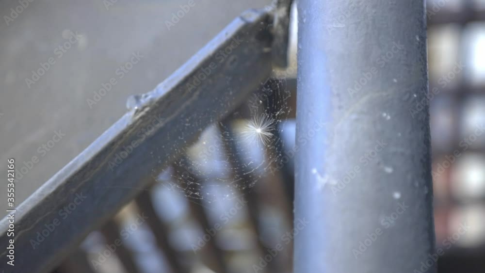 Spider Web On The Metal Railings. - medium shot Spider Web On The Metal Railings. - medium shot