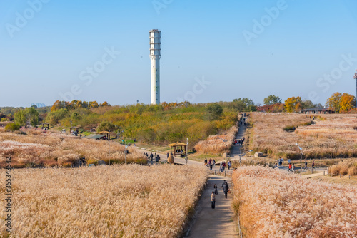 Canvas Print Haneul park in Seoul, Republic of Korea