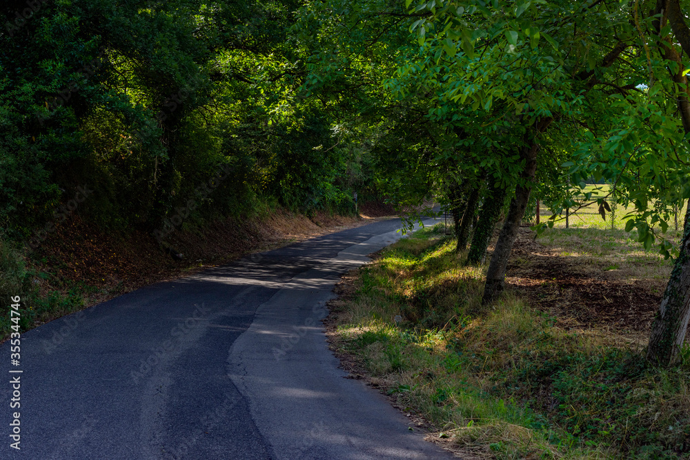 Obraz premium Viottolo di campagna