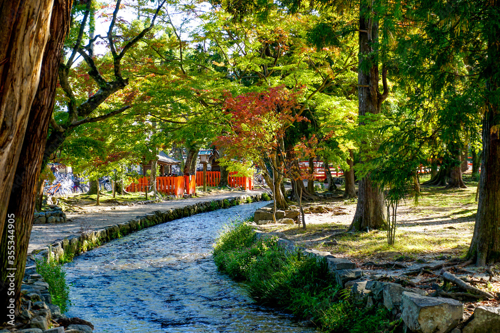 Obraz premium 京都 上賀茂神社