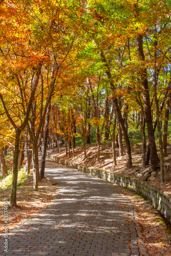 Autumn foliage at busosanseong fortress in Buyeo, Republic of Korea photo