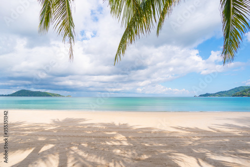 Beach sea sand and palm
