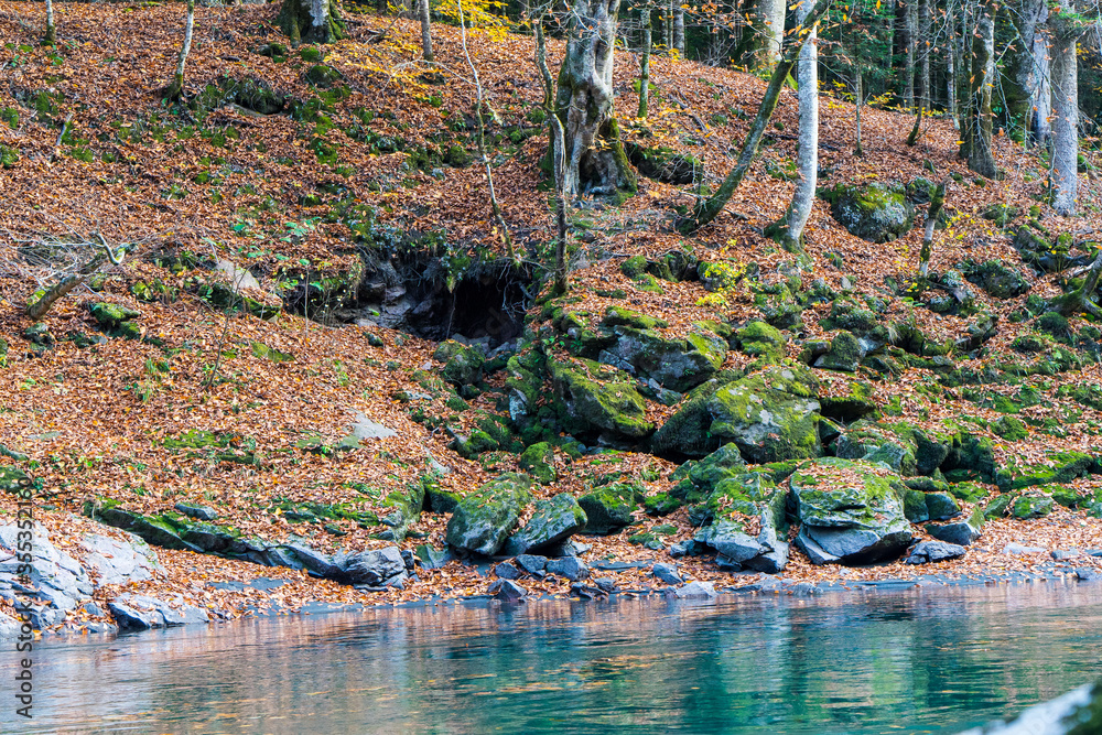 Clean mountain river in the autumn forest. Clean mountain river in the autumn forest.