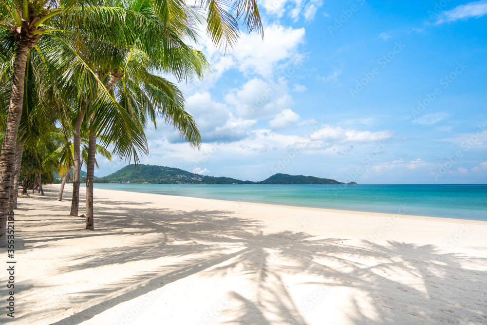 tropical beach with palm trees