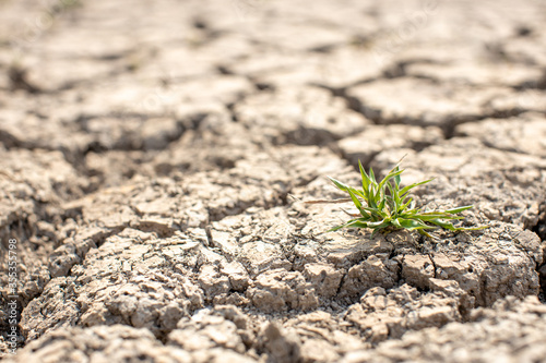  Cracked soil, dry soil, arid, summer soil, lack of moisture, no plants, weeping tiger, Asia © workphoto