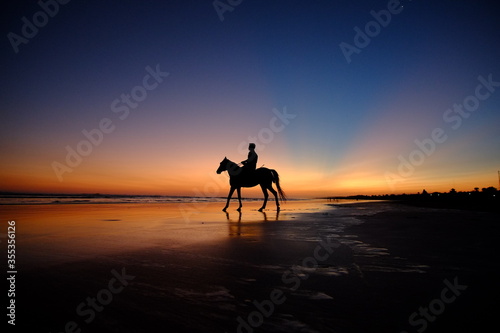 horse on the beach at sunset
