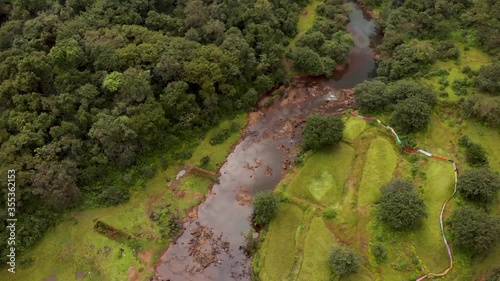 Aerial drone view of forest stream with rice paddy field, Maharashtra, India. photo