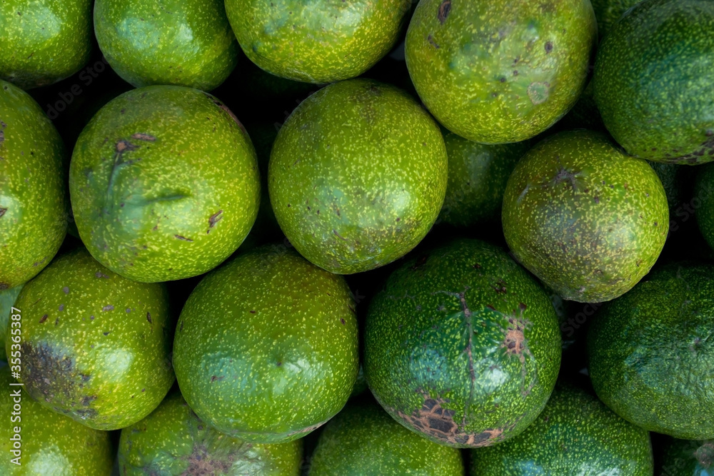 avocado in the market avocado in the market