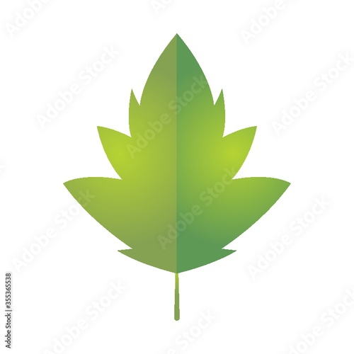Leaf