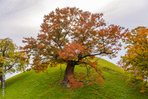 Seobongchong burial tombs in center of Gyeongju, Republic of Korea photo