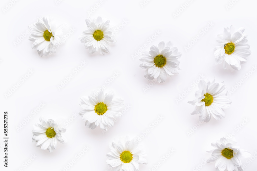 Obraz premium Camomile flower composition isolated on the white background. Overhead view