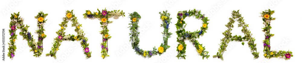 Flower, Branches And Blossom Letter Building English Word Natural. White Isolated Background