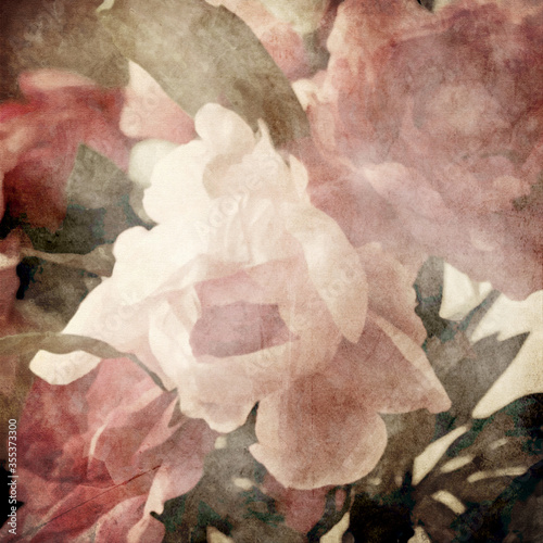 art floral vintage sepia background with light pink peonies