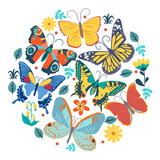 Collection of butterflies in a circle. Vector graphics.