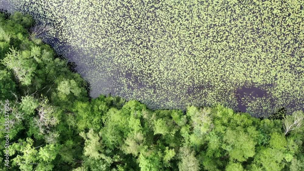 survol de la forêt de Rambouillet près de Versailles (France)