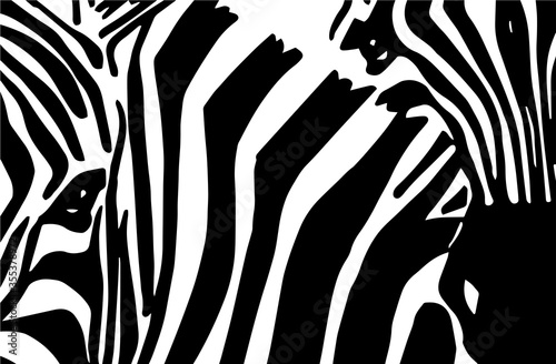 Black and white zebra pattern  lined background fashion art  vector abstract illustration