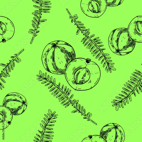 Amla fruit seamless pattern. Phyllanthus emblica fruits repeating ornament. Green anf white indian gooseberry seamless pattern. 