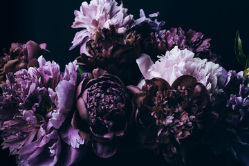 Papier peint photo Magasin de fleurs Pivoines violettes sur fond noir  © colnihko