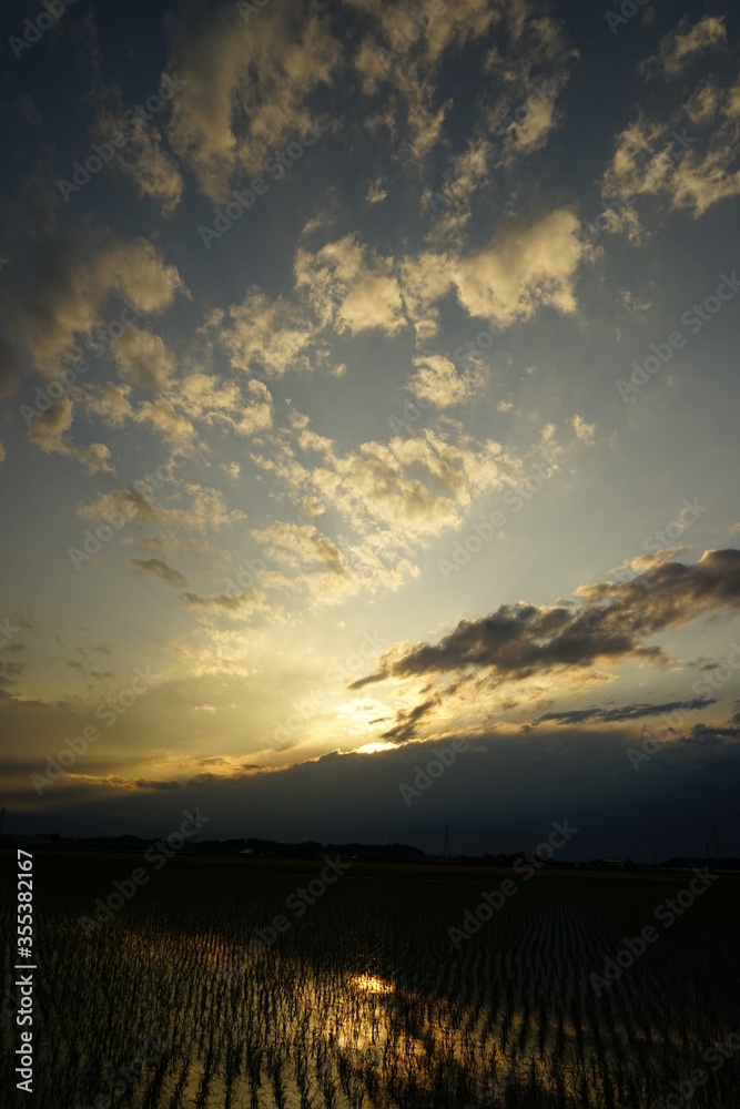 Obraz premium 夕景