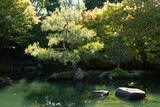 Japanese Garden of Contemplation in Hamilton Gardens in Waikato region on North Island of New Zealand 
