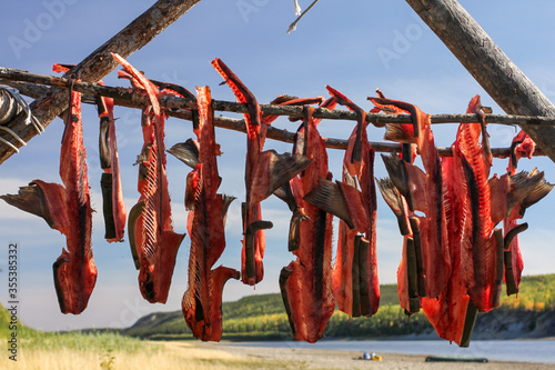 Yukon Territory, Alaska. Salmon spines  drying on a fish rack with Porcupine river in the background. 