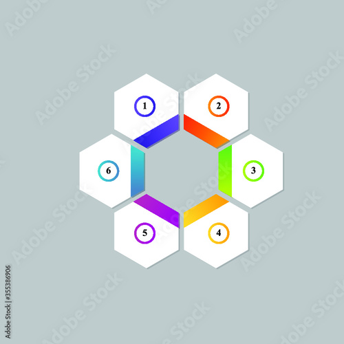 Vector illustration infographics six options