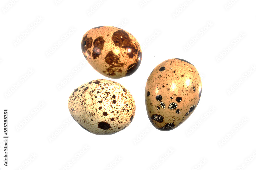 Fototapeta premium quail eggs isolated on white background