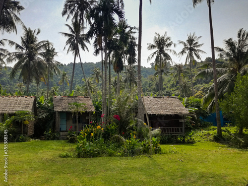 Forest bamboo houses in island surrounded with palm trees