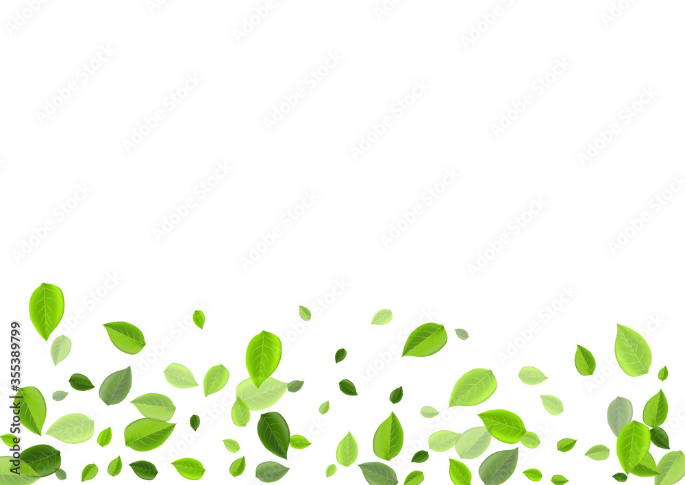 Green Foliage Flying Vector Plant. Wind Greens Green Foliage Flying Vector Plant. Wind Greens