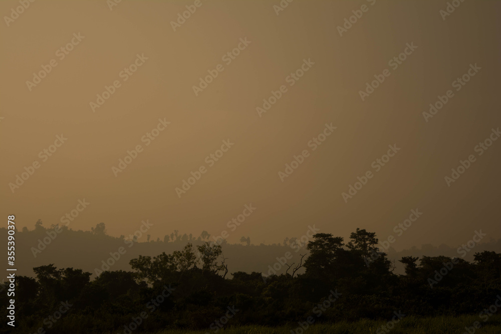 Φωτογραφία Evergreen rainforest mountains captured during an early foggy morning at Kaziranga National Park, Assam, Northeast, India