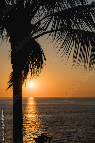 Palme mit Sonnenuntergang Blick aufs Meer in Phuket