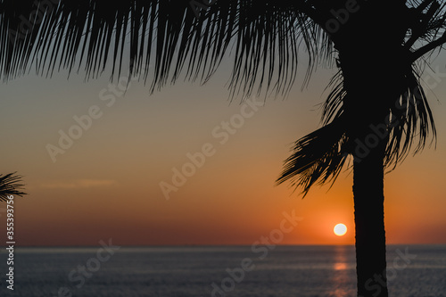 Palme mit Sonnenuntergang Blick aufs Meer in Phuket © Nena