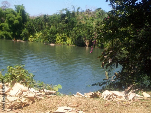 lake in the forest tamatave madagascar photo