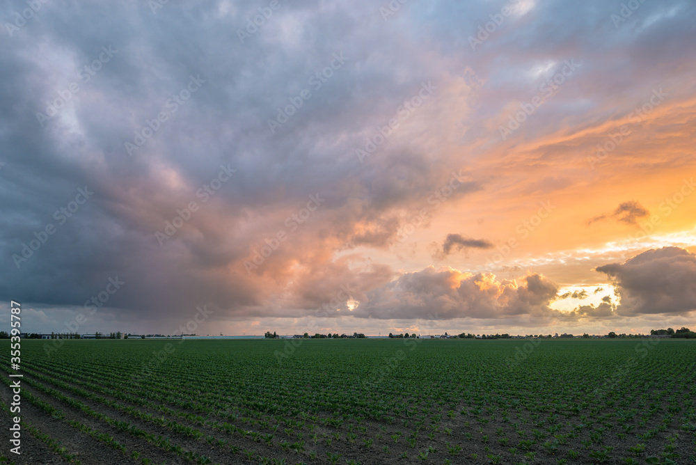 Rain shower and colorful sunset over wide open plain