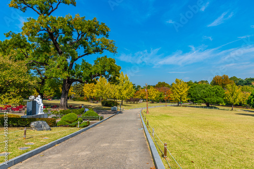 Dalseong park at Daegu, Republic of Korea photo