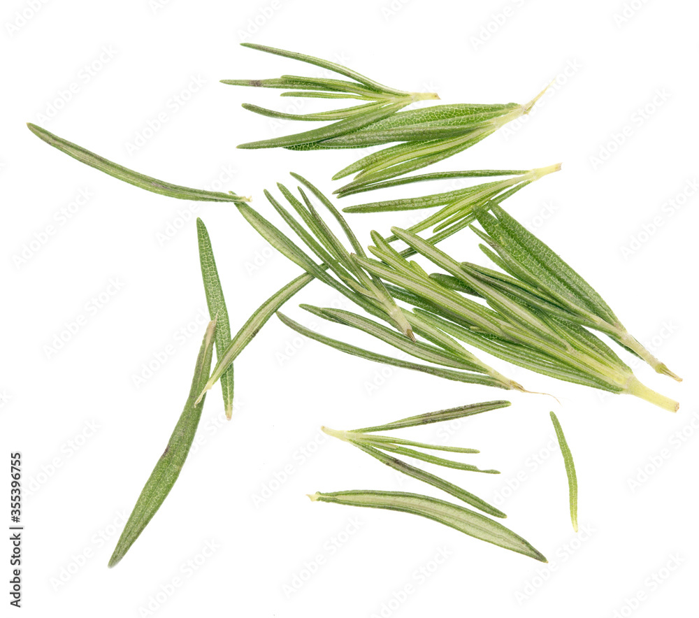 Fototapeta premium Rosemary on white